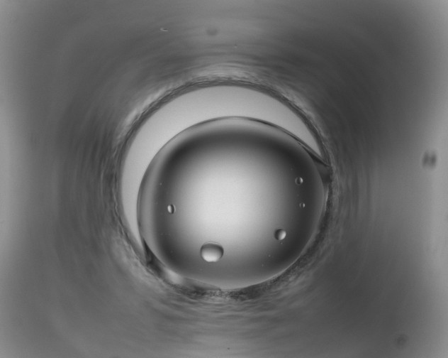 X0000112810399200908281512