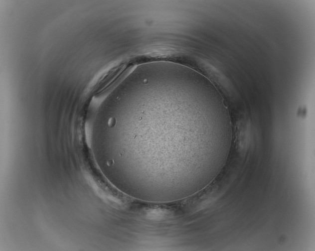 X0000112810400200908281512