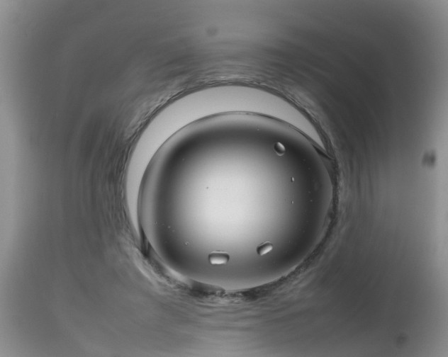 X0000112810401200908281512