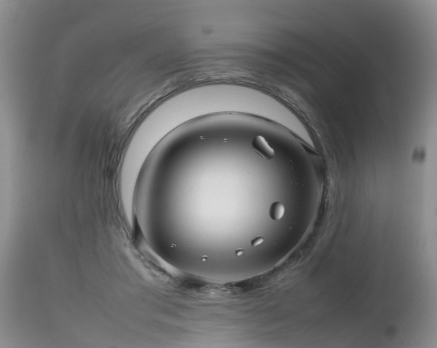 X0000112810405200908281512