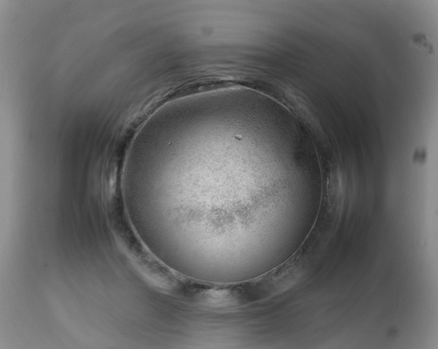X0000112810406200908281512