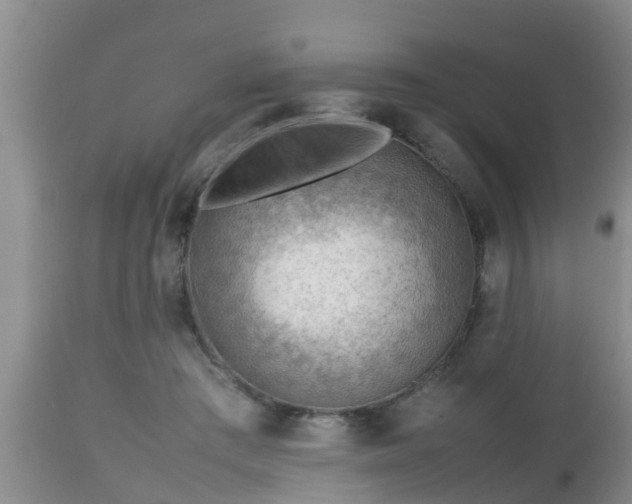 X0000112810409200908281511