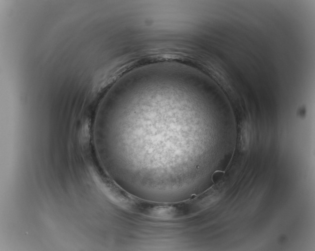 X0000112810410200908281511