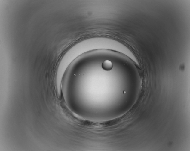 X0000112810411200908281511