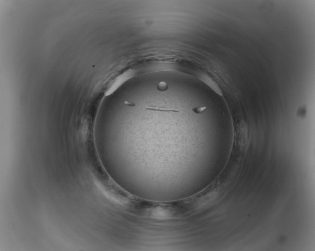 X0000112810412200908281511