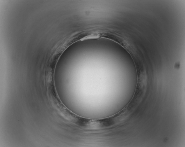 X0000112810413200908281511