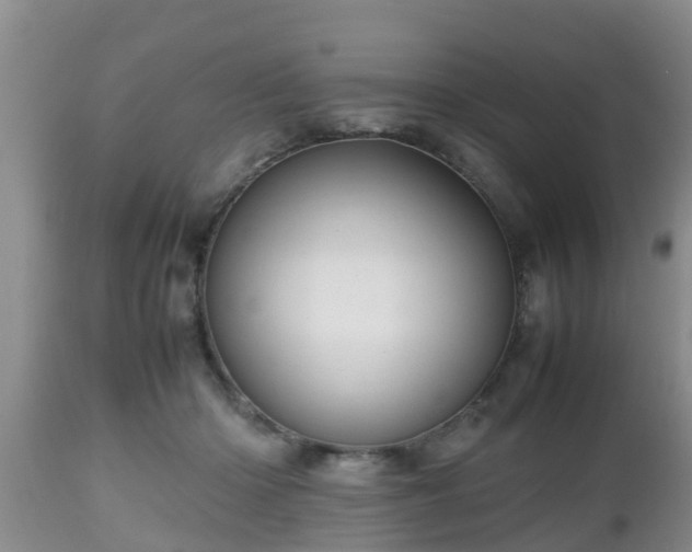 X0000112810414200908281511