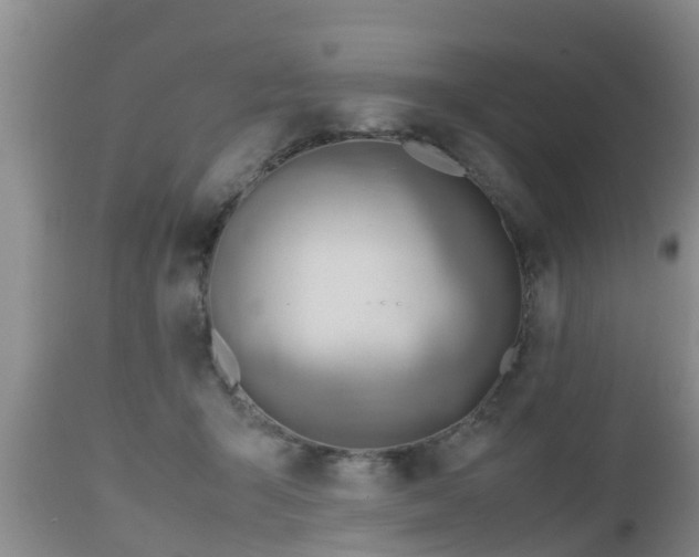 X0000112810415200908281511