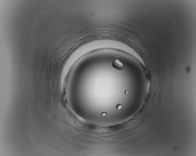 X0000112810417200908281511