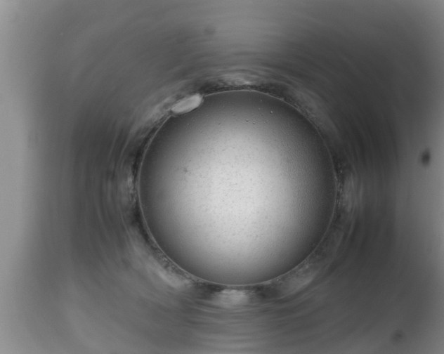 X0000112810418200908281511