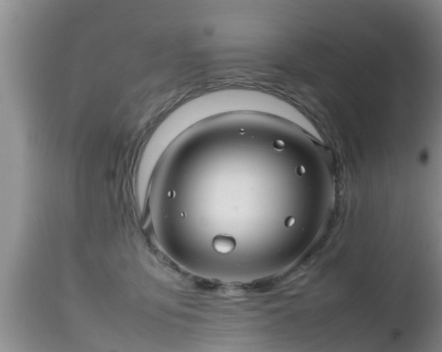 X0000112810419200908281511