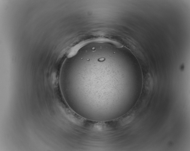 X0000112810420200908281511