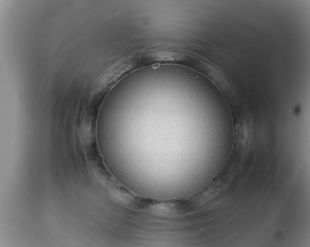 X0000112810422200908281511