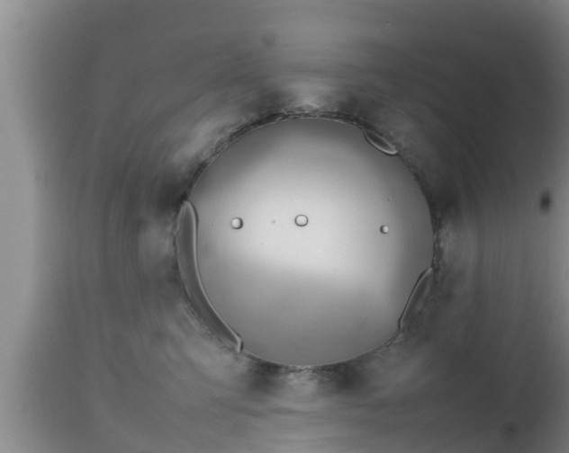 X0000112810423200908281511