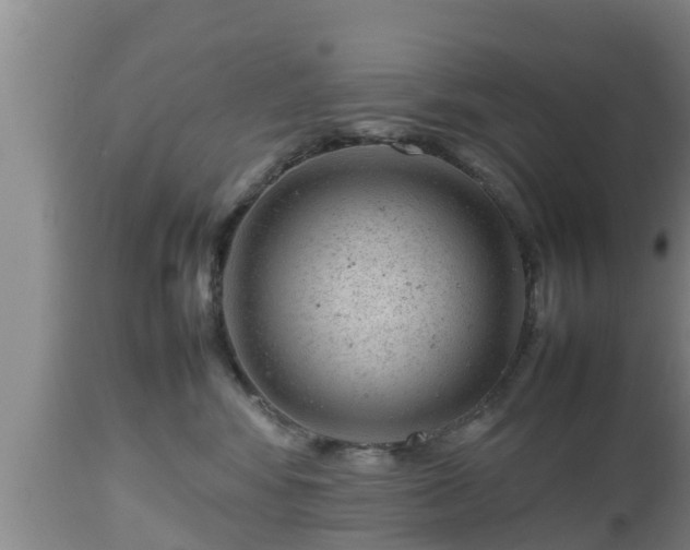 X0000112810424200908281511