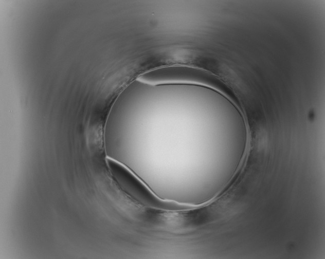 X0000112810425200908281511