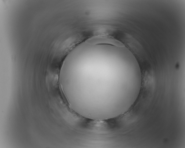 X0000112810427200908281511