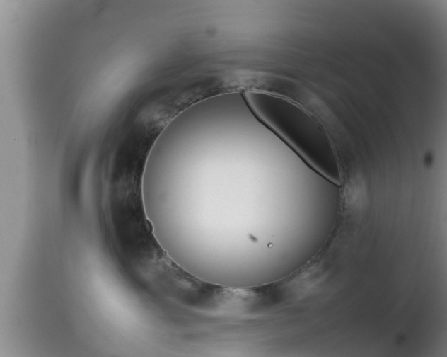 X0000112810429200908281511