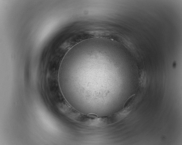 X0000112810430200908281511