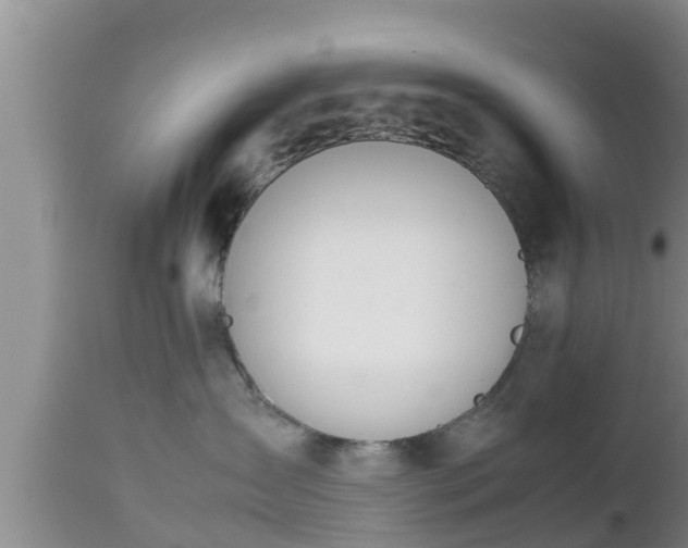 X0000112810431200908281511