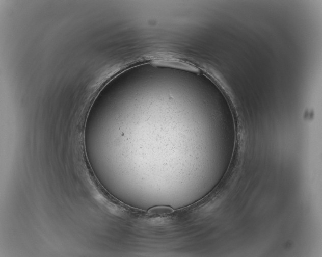 X0000112810433200908281510