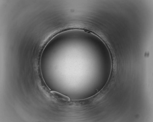 X0000112810434200908281510