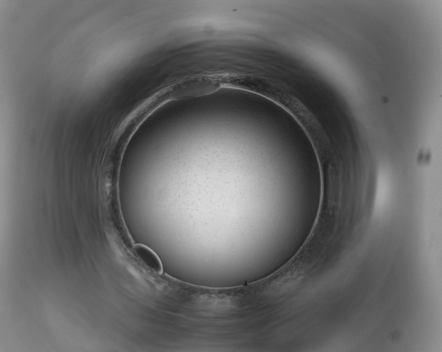 X0000112810435200908281510