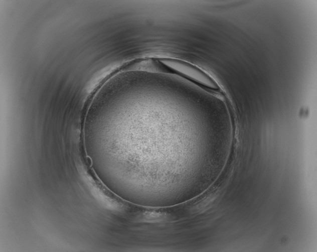 X0000112810437200908281510