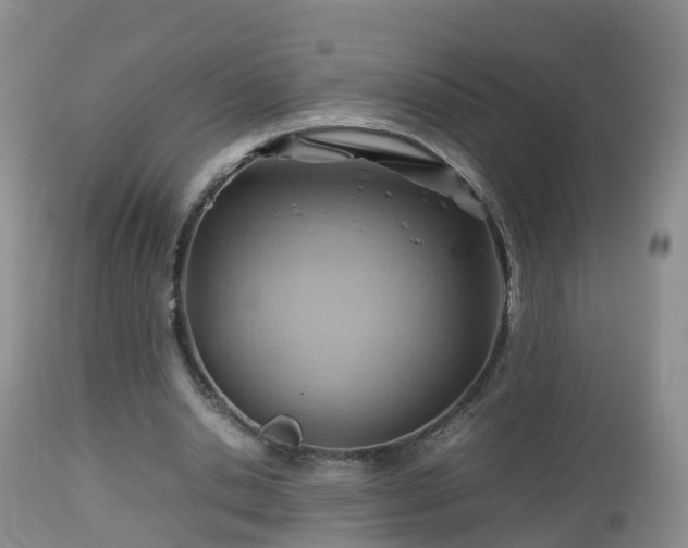 X0000112810438200908281510
