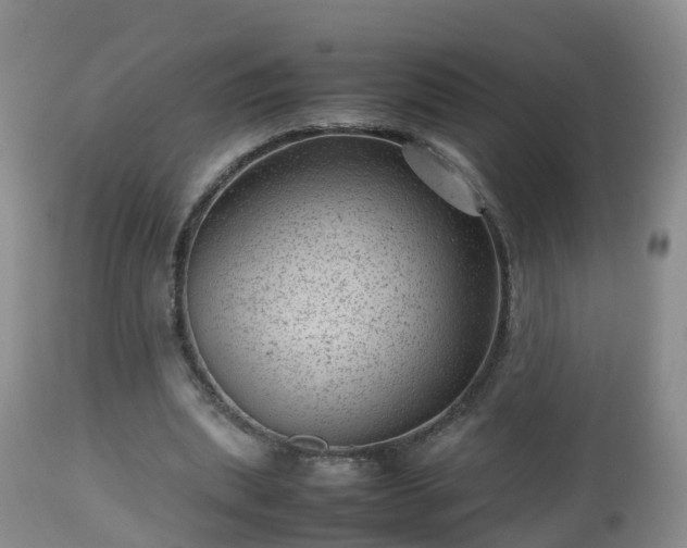 X0000112810439200908281510