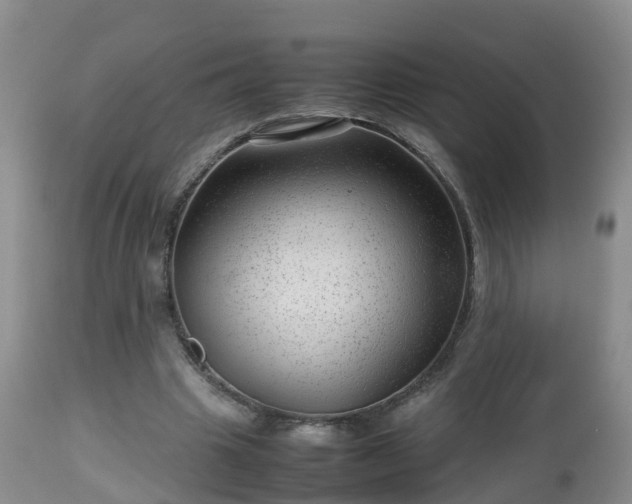 X0000112810441200908281510