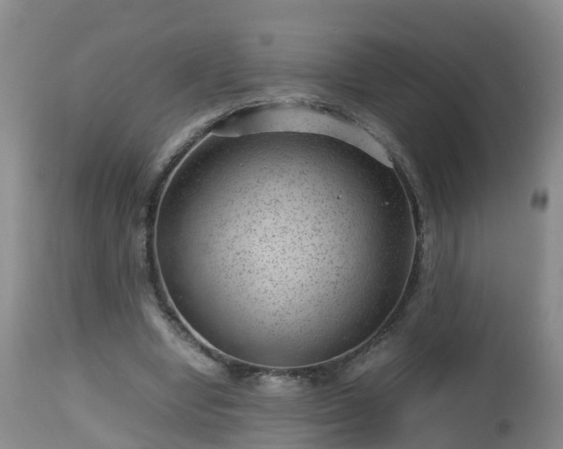X0000112810442200908281510