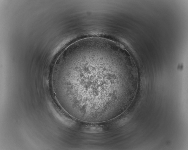 X0000112810443200908281510