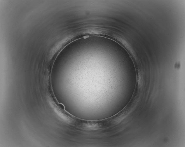 X0000112810445200908281510