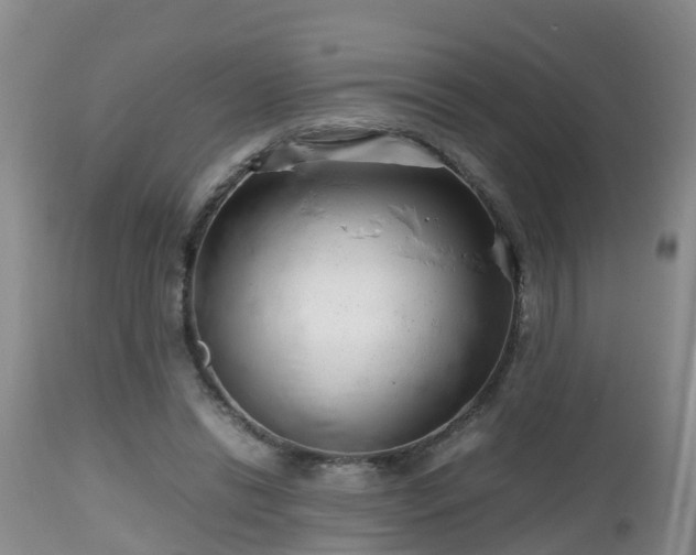 X0000112810446200908281511