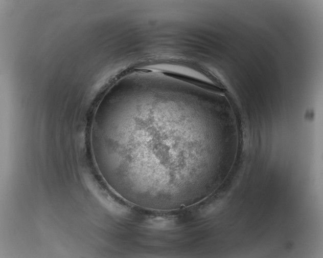 X0000112810447200908281511