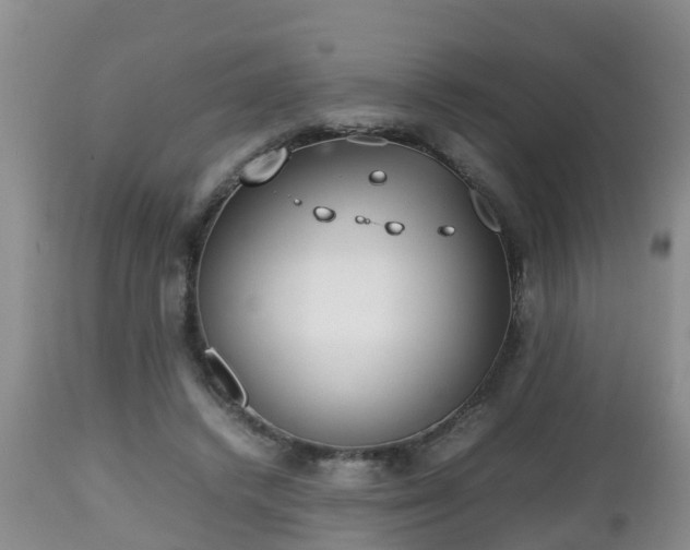 X0000112810448200908281511