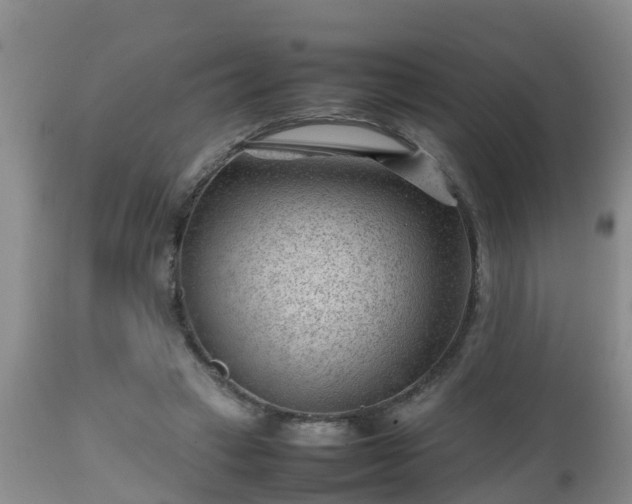X0000112810449200908281511
