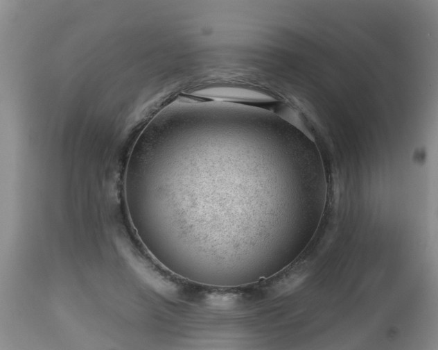 X0000112810450200908281511