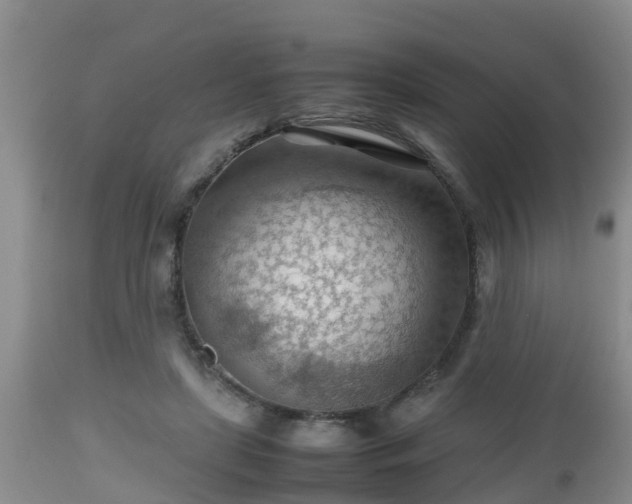 X0000112810451200908281511