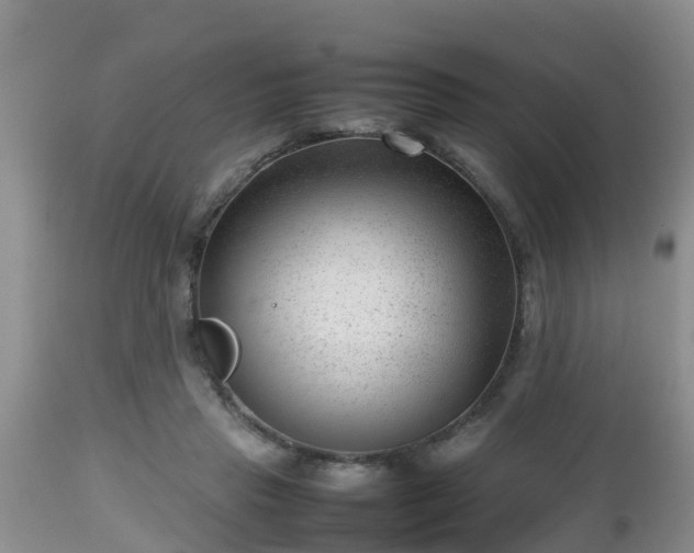 X0000112810453200908281511