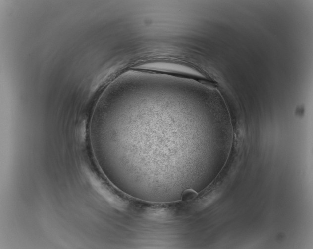 X0000112810454200908281511