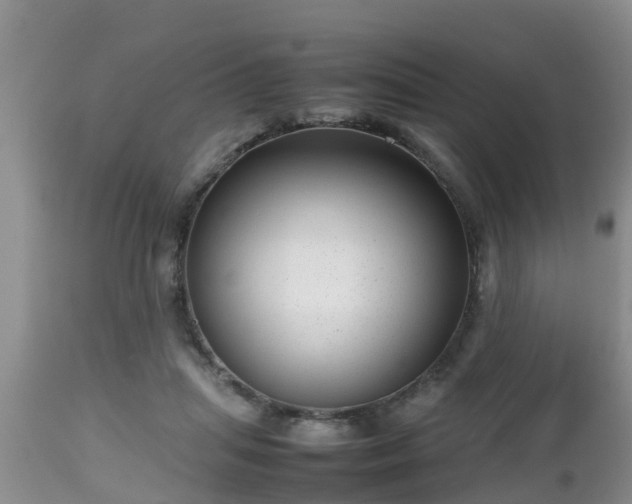 X0000112810455200908281511