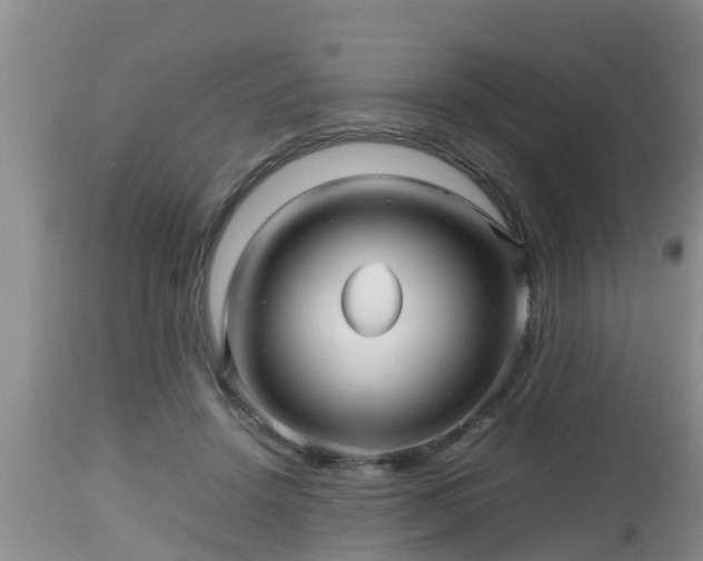 X0000112810456200908281511