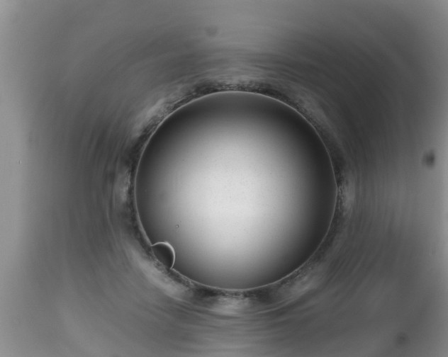 X0000112810458200908281511