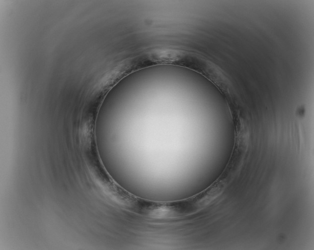 X0000112810460200908281511