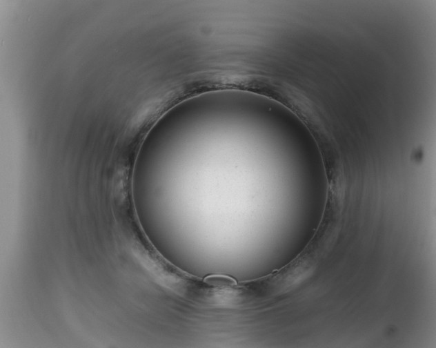 X0000112810462200908281511