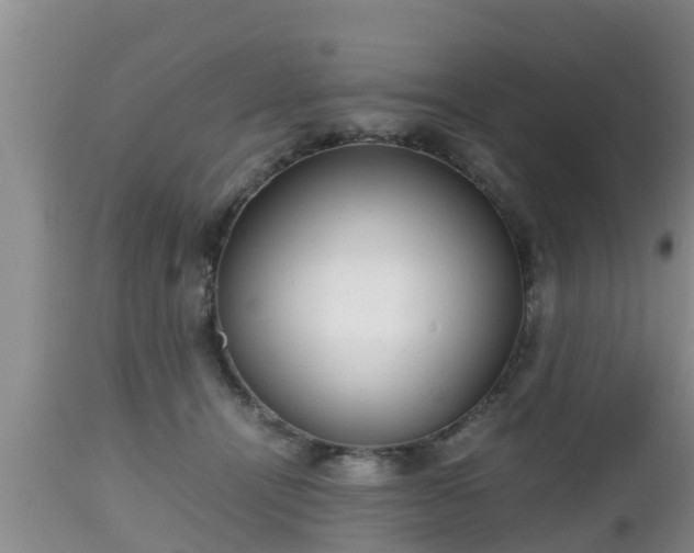 X0000112810464200908281511