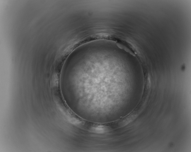 X0000112810467200908281511