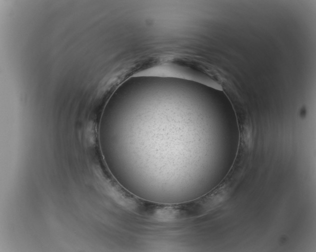 X0000112810470200908281511